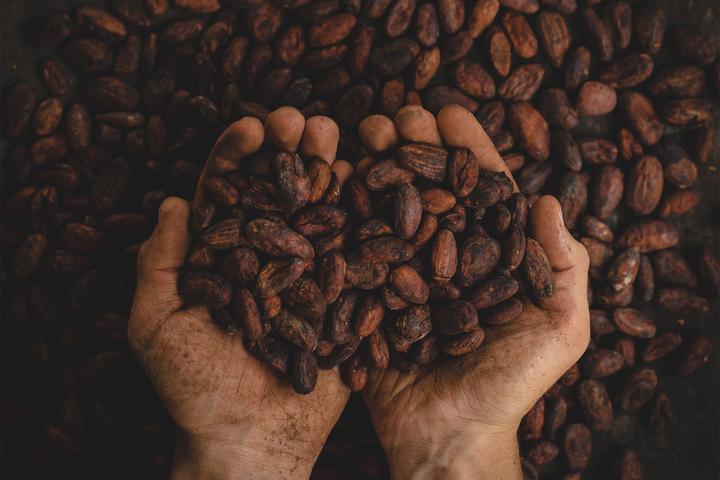 From pod to bar — 13 steps of chocolate making